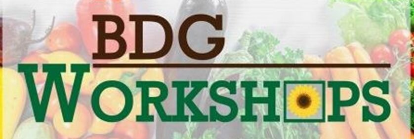 BDG Workshops logo