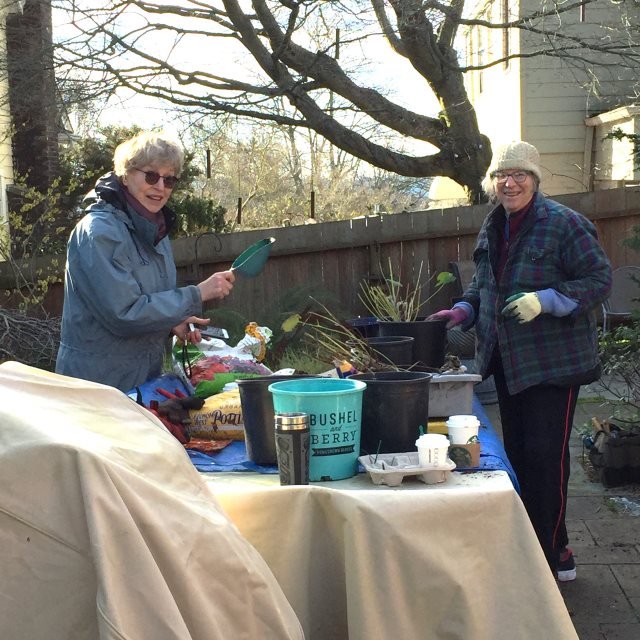 Ballard Clinic potting party