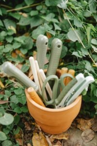 Terracotta pot filled garden tools