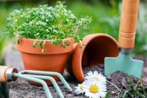 garden tools and pots