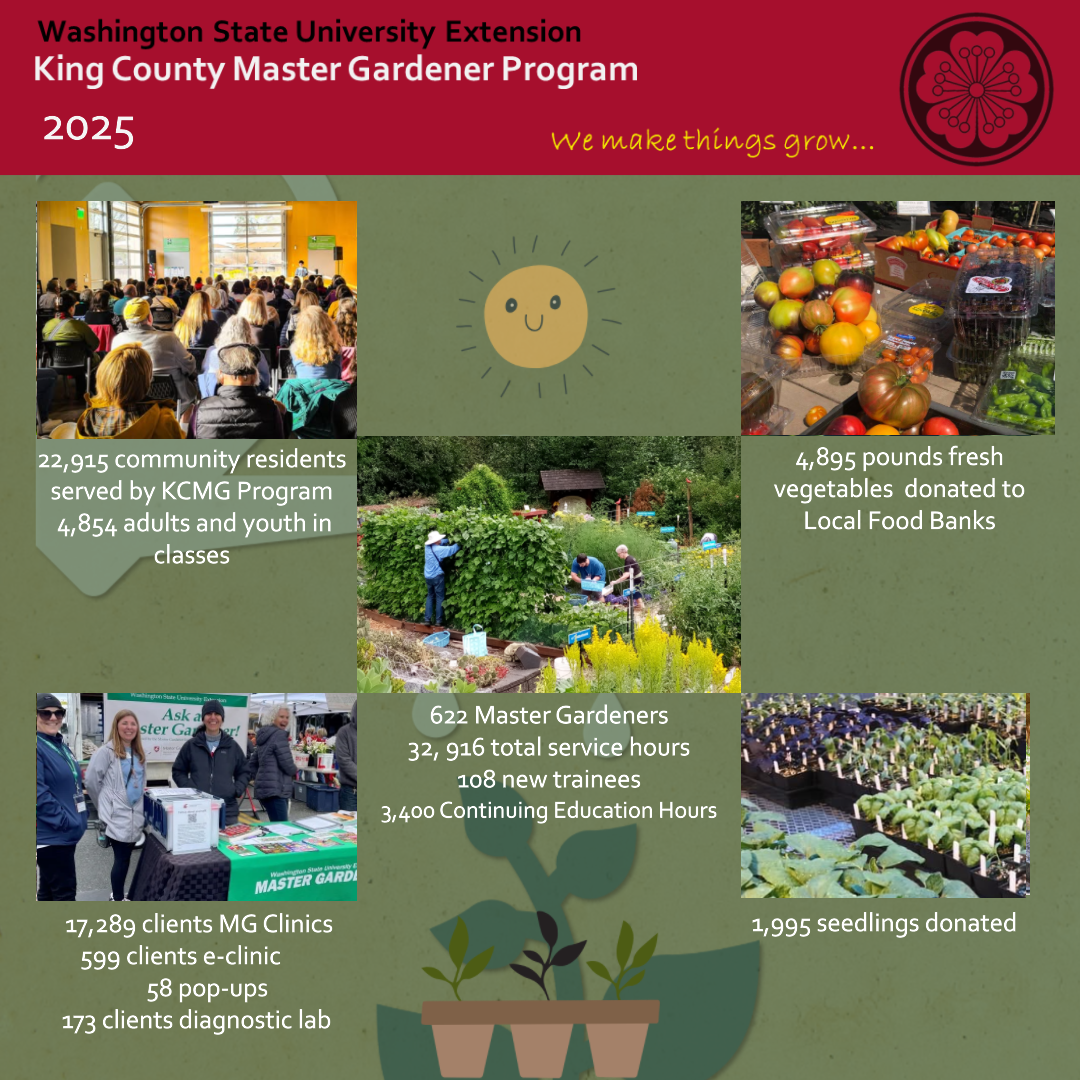 kneeling young woman tending plant flats in greenhouse